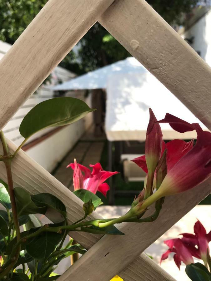 카스텔라마레디스타비아 Virgilio'S Garden B&B 외부 사진